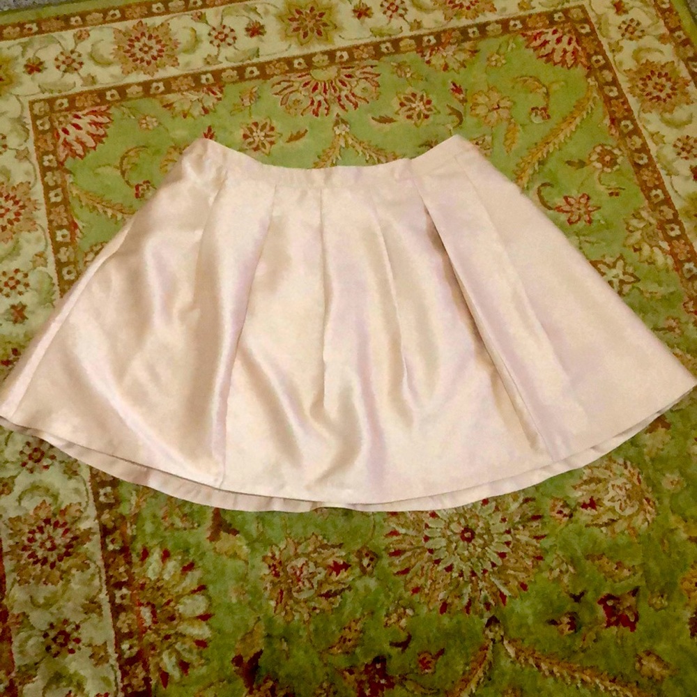 Lane Bryant skirt